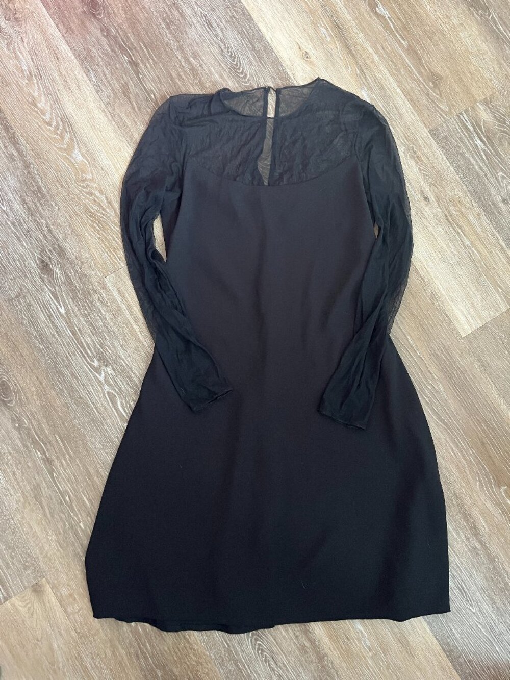 Vintage Sheer Sleeves and Neckline A-Line Black Mini Dress - Wednesday Adams